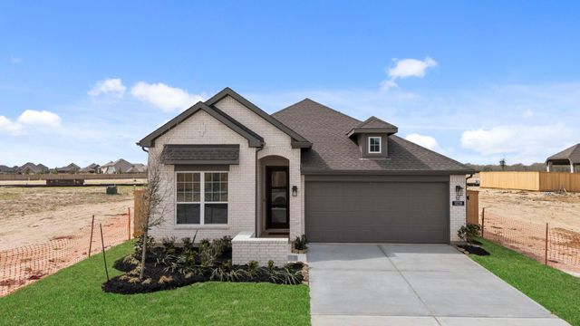 11239 White Crownbeard Dr — Bridgeland