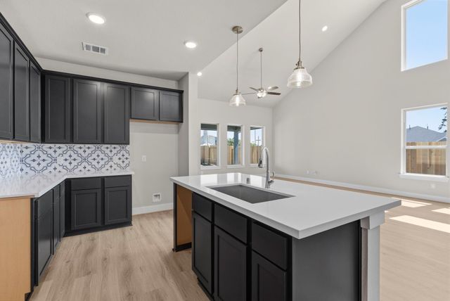 19218 Trinity Terrace Ln — Trinity Grove at Senterra Lakes