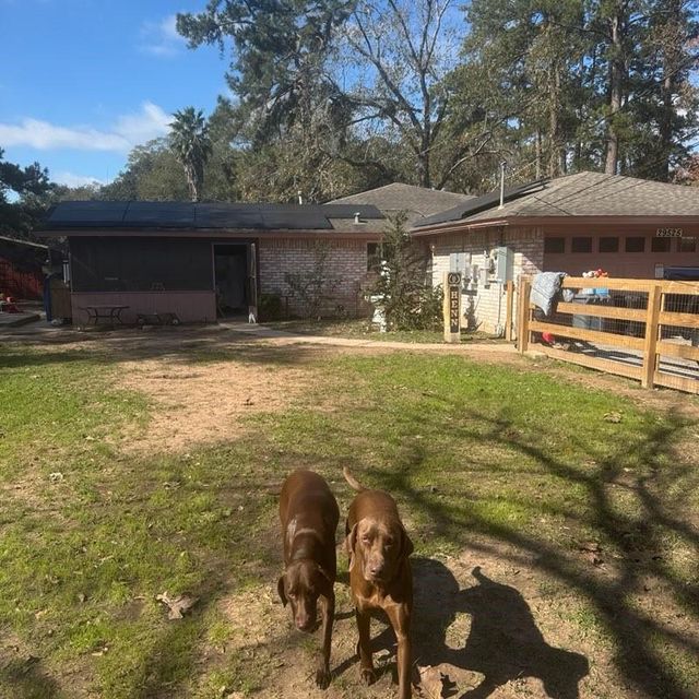 29525 Geneva Dr — Spring Hills 01