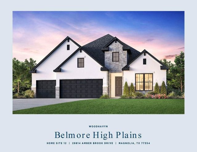29814 Amber Brook Dr — Toll Brothers at Woodhavyn