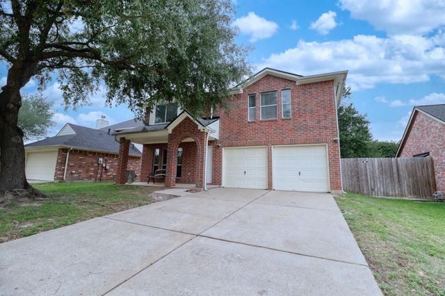 8723 Creek Willow Dr — Willow forest