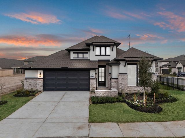 10710 Yellow Wild Indigo Ln — Bridgeland