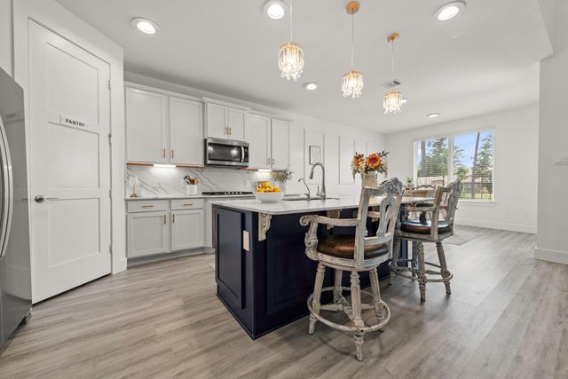 14130 Savage River Ct — Fosters Ridge