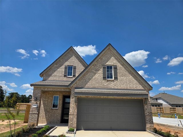 21550 Witham Promenade Ln — Emory Glen