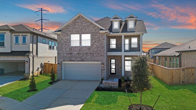 21915 Georgia Hackberry — Bridgeland