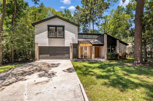 53 E Torchpine Cir — Wdlnds Village Panther Ck 05