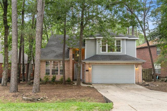 39 W Tallowberry Dr — Wdlnds Village Panther Ck 07
