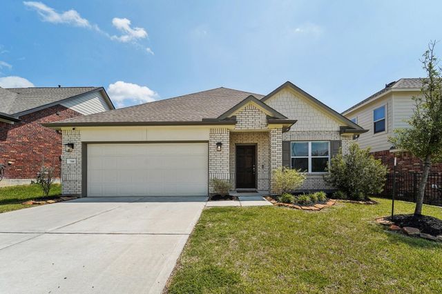 788 Yellow Birch — Wedgewood Forest