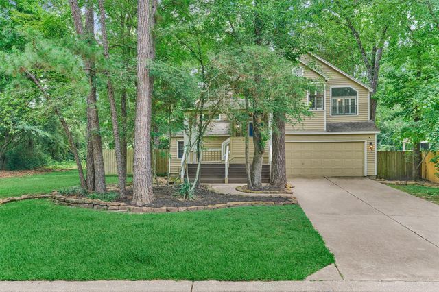 26 Twisted Birch — Wdlnds Village Indian Sprg 03