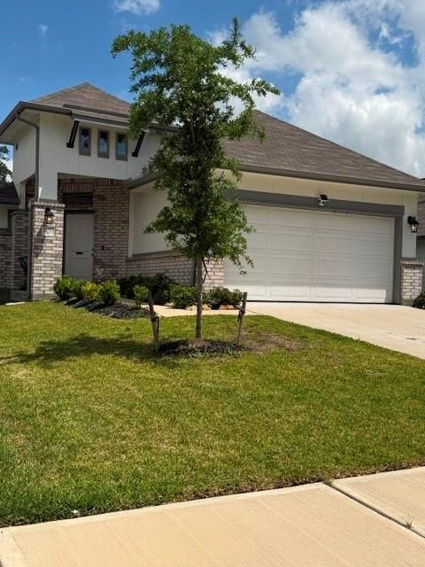 31053 Regal Elm Ln — S716715 - Meadows At Imperial Oaks 15, B