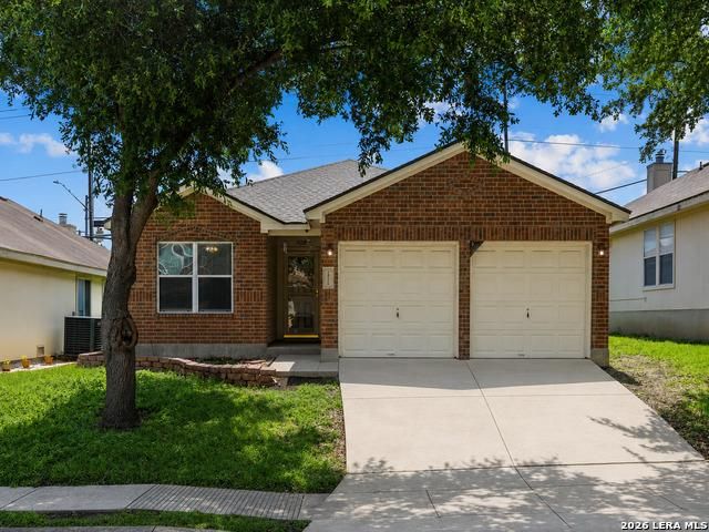 14219 Rosy Finch — ARBORSTONE