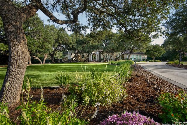 11118 ANAQUA SPGS — ANAQUA SPRINGS RANCH