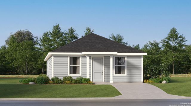 11405 Evergreen Rose — Rose Valley
