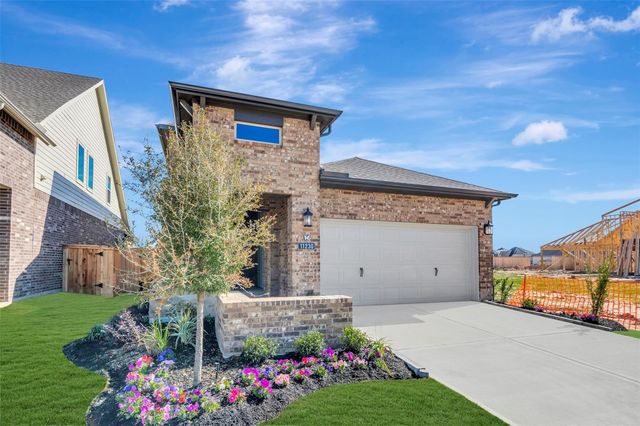 11230 Peacock Flower St — Bridgeland