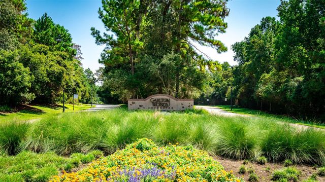23 N Fazio Way — The Woodlands Carlton Woods Creekside 05