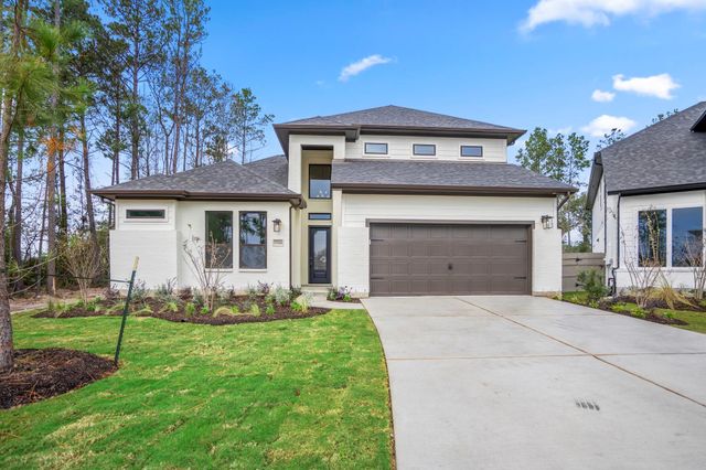 17206 Blooming Suzans Ln — Artavia