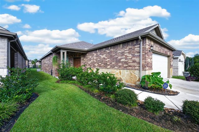 234 Flaxen Chestnut — DEL WEBB THE WOODLANDS
