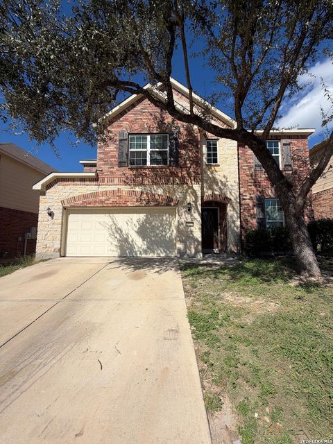10819 Yaupon Holly — LANTANA OAKS