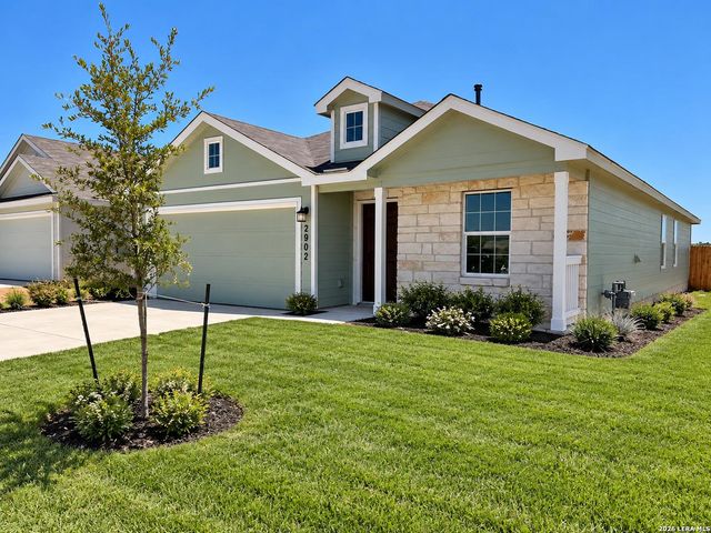 2902 Shore Lark — VOSS FARMS