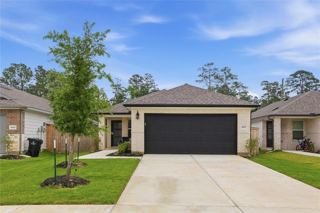 16687 Sterling Cliff St — Mavera