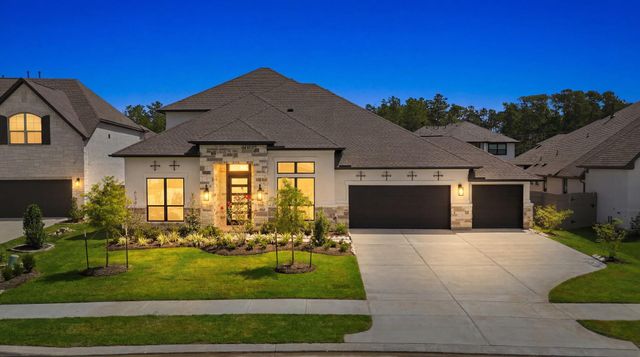 15707 Dandelion Dreams St — Artavia